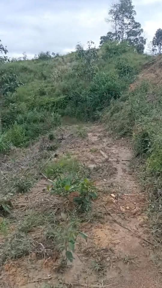 Đất nền Bảo Lâm 610m² giá 610 triệu - Cơ hội đầu tư tuyệt vời!