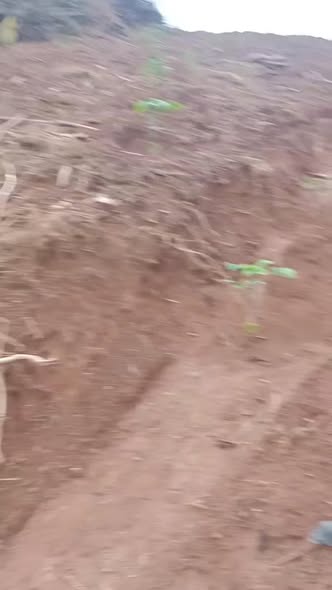 Đất nền Bảo Lâm 5 - 14.400m² giá 900 triệu - Sổ đỏ chính chủ, mặt đường bê tông 15m!