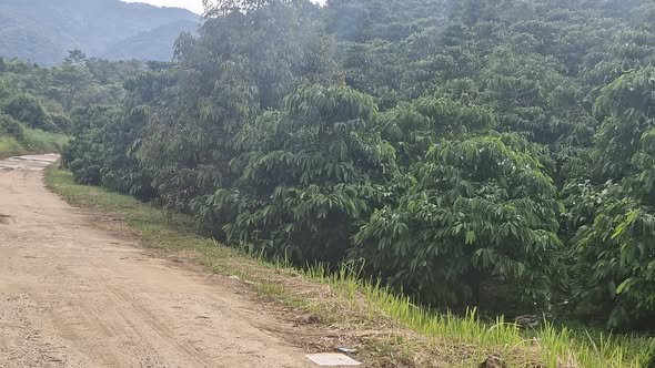 Đất nền Lộc Bảo Bảo Lâm 14,000m² giá 3.75 tỷ - Tiềm năng phát triển vượt bậc!