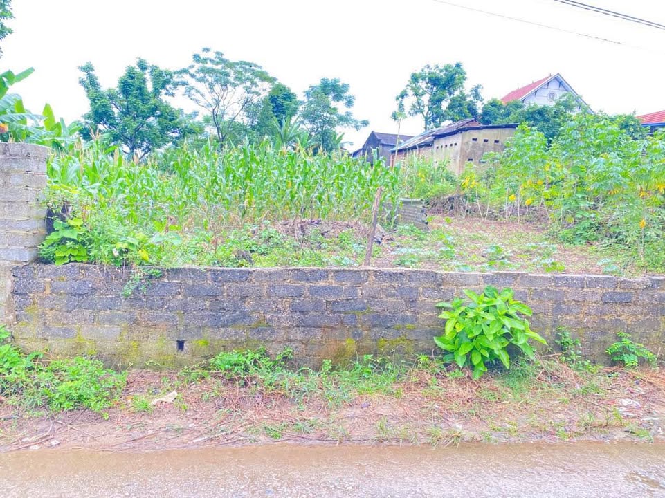 Lô đất Hồng Tiến, Phổ Yên 213m² giá 1.4 tỷ - Cơ hội đầu tư tuyệt vời!