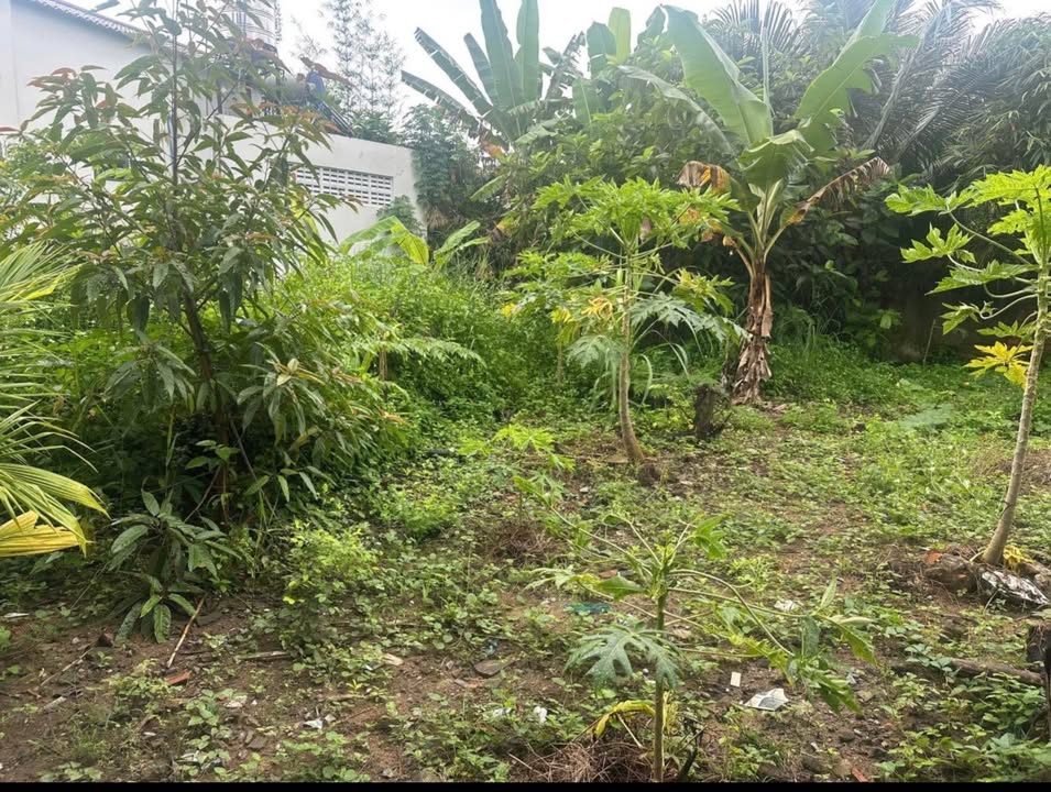 Đất nền phường Đạo Thạnh, TP. Mỹ Tho 171.5m² giá 1.6 tỷ - Cơ hội đầu tư hấp dẫn!