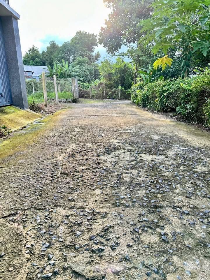 Đất nền Diên An 100m² giá 1.39 tỷ - Hướng Đông, ô tô vào thoải mái!