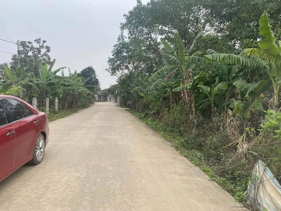 Đất nền xã Phú Lộc Nho Quan 125m² giá 600 triệu - Sổ đỏ chính chủ