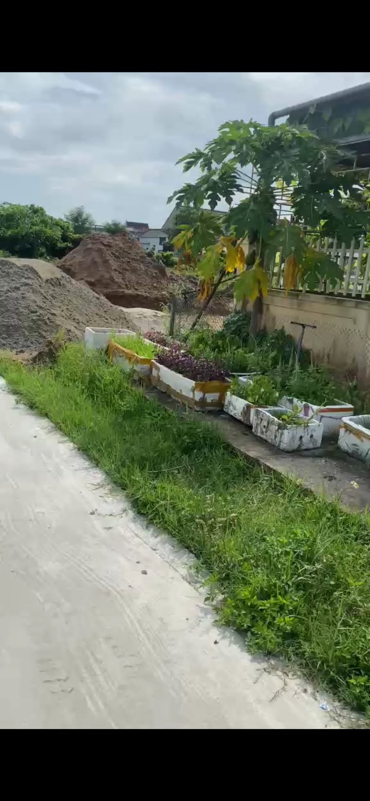 Đất thổ cư Cẩm Nhượng 99m² giá chỉ 1 tỷ - Đầu tư sinh lời ngay!