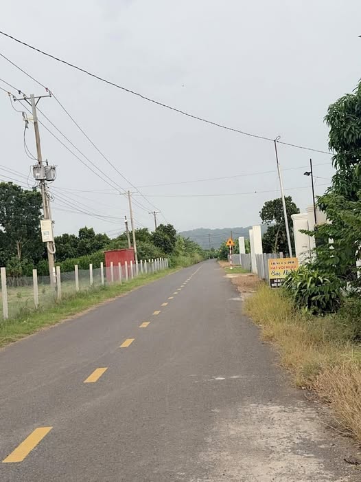 Đất nền Phú Vinh 1500m² giá 1.7 tỷ - Mặt tiền đường nhựa chính 115