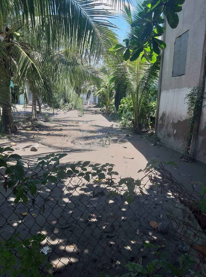 Đất mặt tiền xã Tam Hiệp, 240m² giá 1.5 tỷ - Cơ hội đầu tư sinh lời!