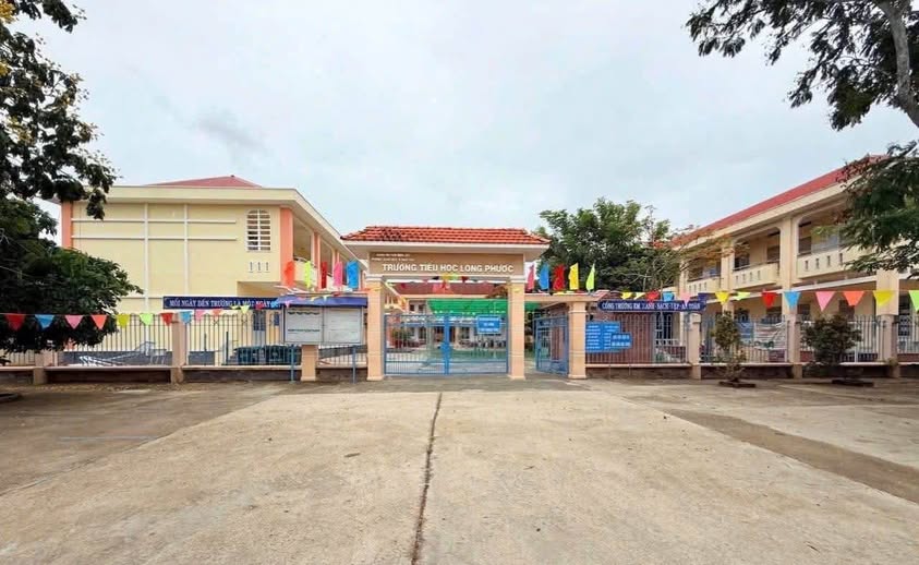 Đất thổ cư 187m² mặt tiền đường Long Bình, Bến Lức, 3.2 tỷ - Vị trí kinh doanh lý tưởng!