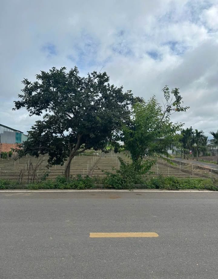 Đất mặt tiền nhựa Phú Trung - Xã Đức Trọng 811m² giá 4.5 tỷ - Cơ hội đầu tư vàng!