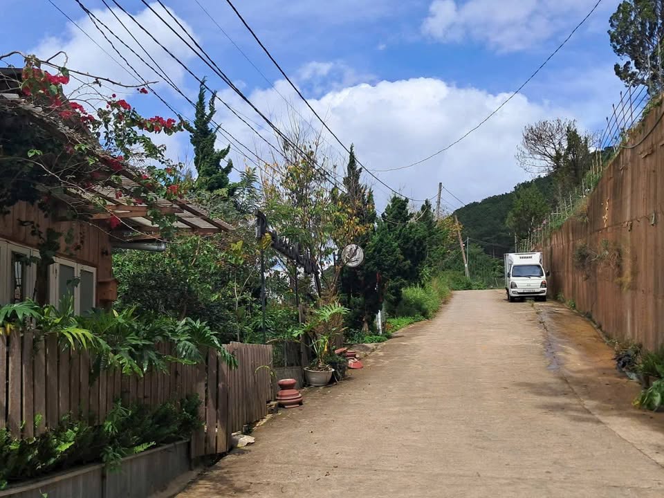 Đất nền Hùng Vương, Đà Lạt 332.9m² giá 2.6 tỷ - View đồi thông thơ mộng!