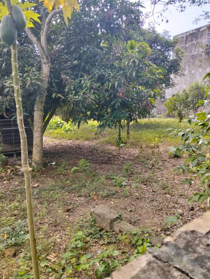 Đất nền Quốc lộ 2 - Trung Môn, Tuyên Quang - 384m² giá 1.7 tỷ - Tiềm năng phát triển mạnh!