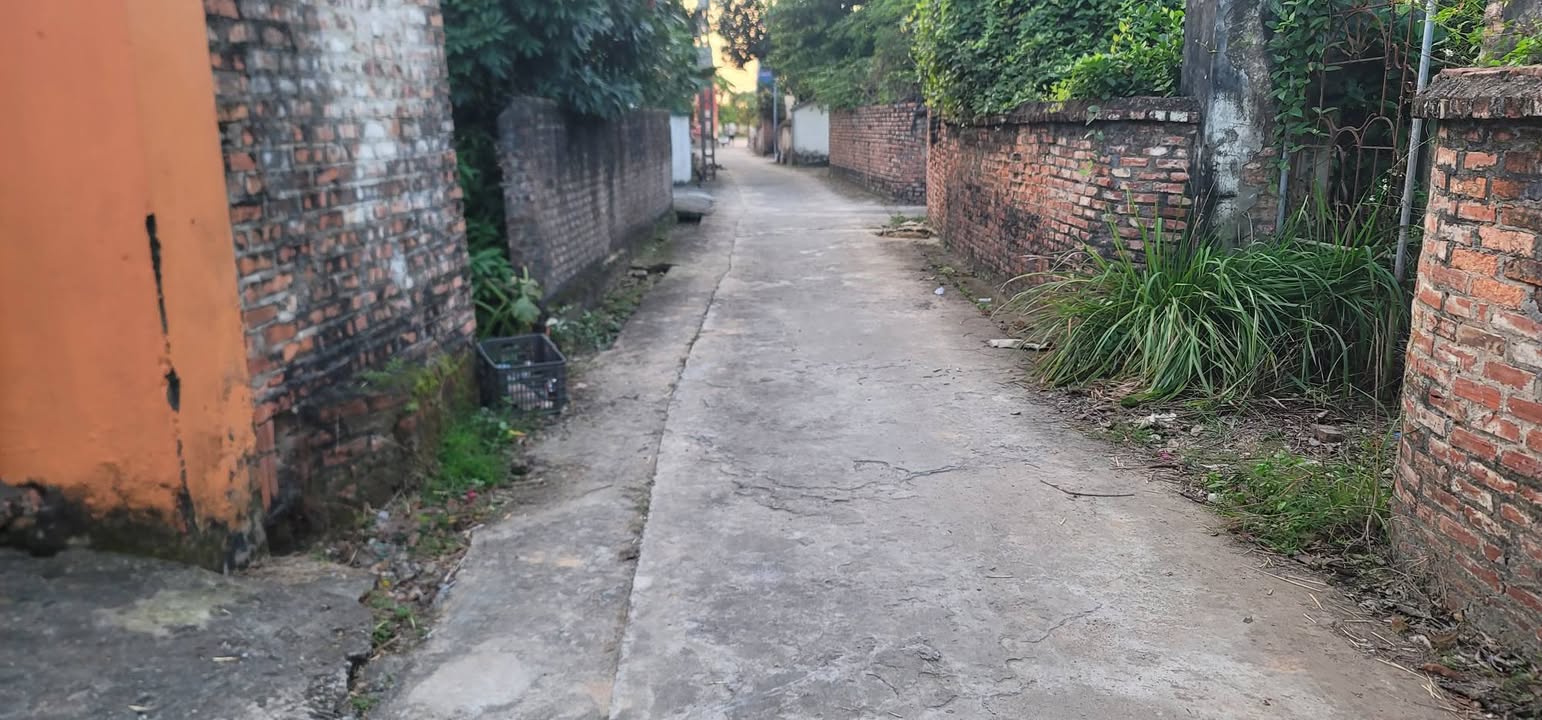 Đất nền góc 240m² xã Trung Chính - Cơ hội đầu tư hiếm có!