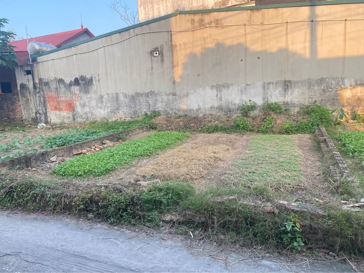 Đất Hiền Ninh Sóc Sơn 41m² giá 1 tỷ - Cơ hội đầu tư tuyệt vời!