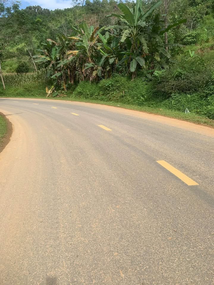 Đất nền Phú Linh 810m² giá 1.3 tỷ - Cơ hội đầu tư sinh lời