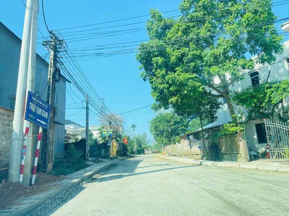 Đất thổ cư Tiên Kiên, Lâm Thao 102m² giá 1.9 tỷ - Đầu tư sinh lời ngay!