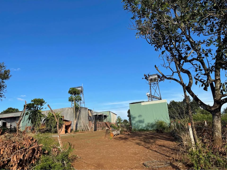 Đất ở hẻm 1024 Trường Chinh, 105m² giá 300 triệu - Cơ hội đầu tư hấp dẫn!