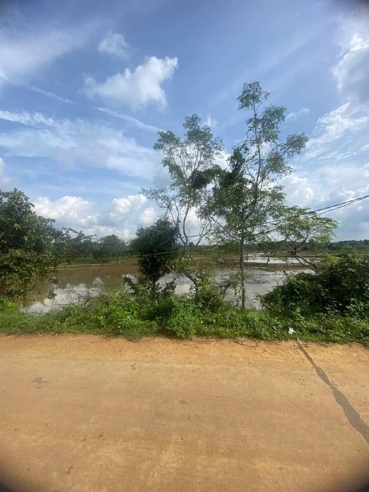 Đất nền An Phú, Pleiku 1000m² - Đầu tư sinh lời tuyệt vời!