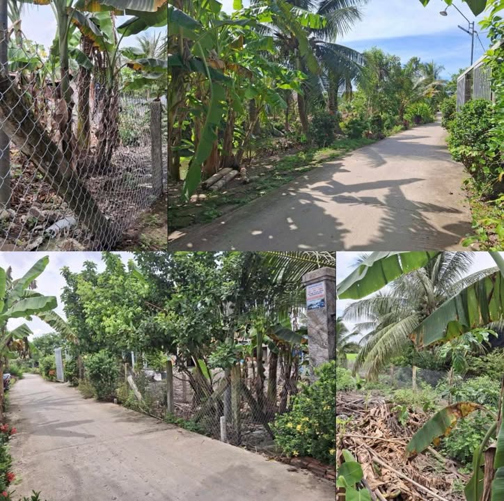 Đất thổ cư ấp Mỹ Hội, Cai Lậy, 135m² giá chỉ 340 triệu - Đầu tư sinh lời ngay!