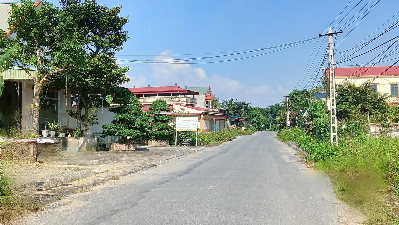 Đất nền mặt tiền đường Tỉnh lộ 516B, xã Yên Ninh, 125m² - Cơ hội đầu tư hấp dẫn!