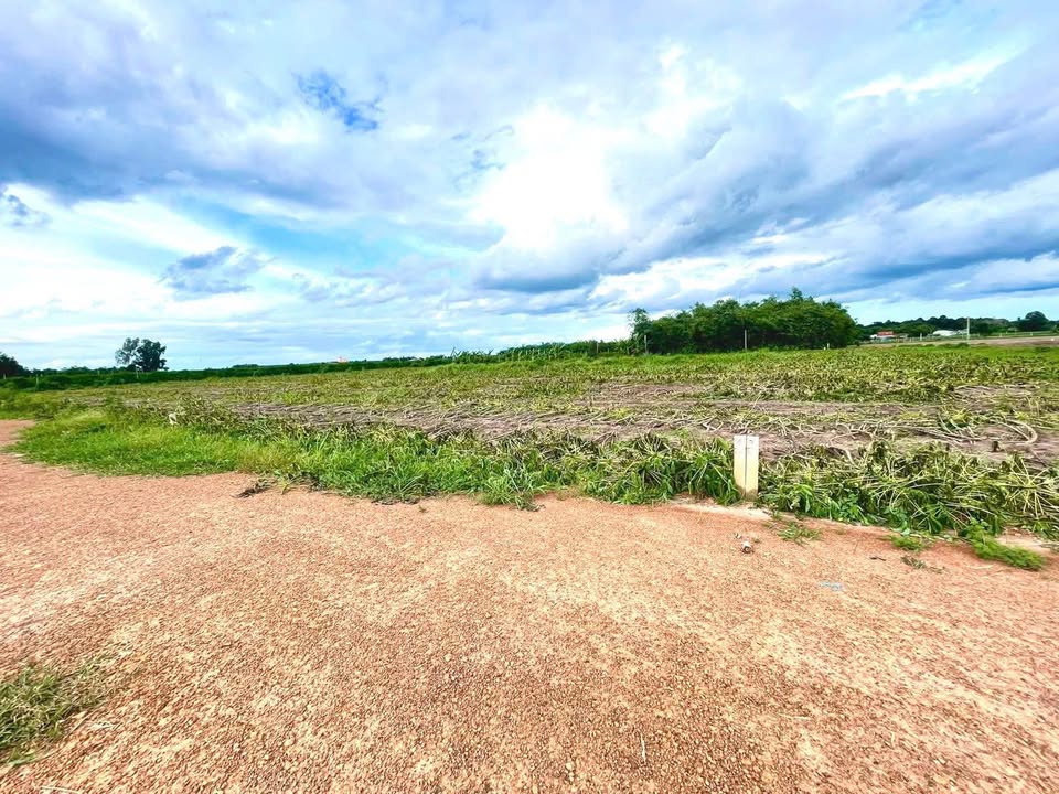 Đất nền Suối Đá Tây Ninh 984m² giá 599 triệu - Đầu tư sinh lời ngay!