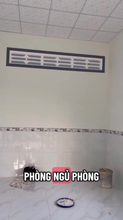 Đất Mặt Tiền Đường Bêtông 135m² tại Thạnh Đông, Tây Ninh - Giá 639 triệu có thương lượng!