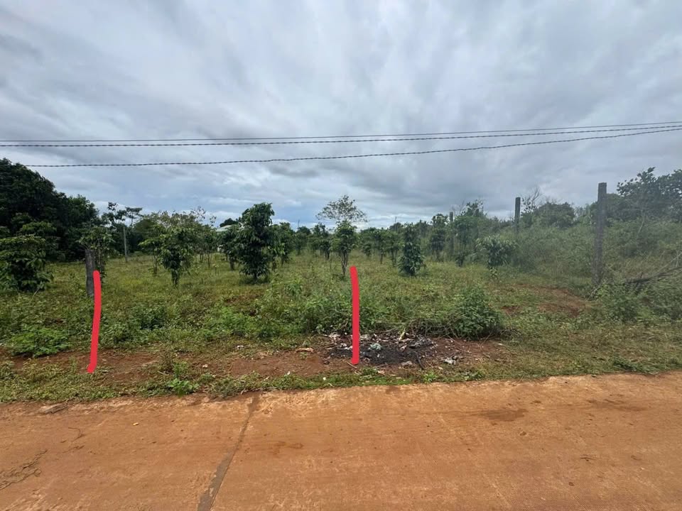 Đất nền xã Ia Kênh, Pleiku 300m² giá 300 triệu - Đường quy hoạch rộng 30m!