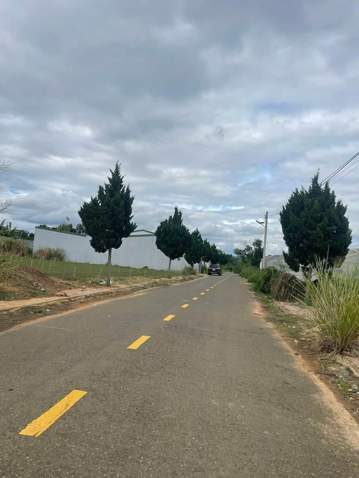 Đất nền 2 mặt tiền Phú Hội 275m² giá thỏa thuận - Đầu tư sinh lời ngay!