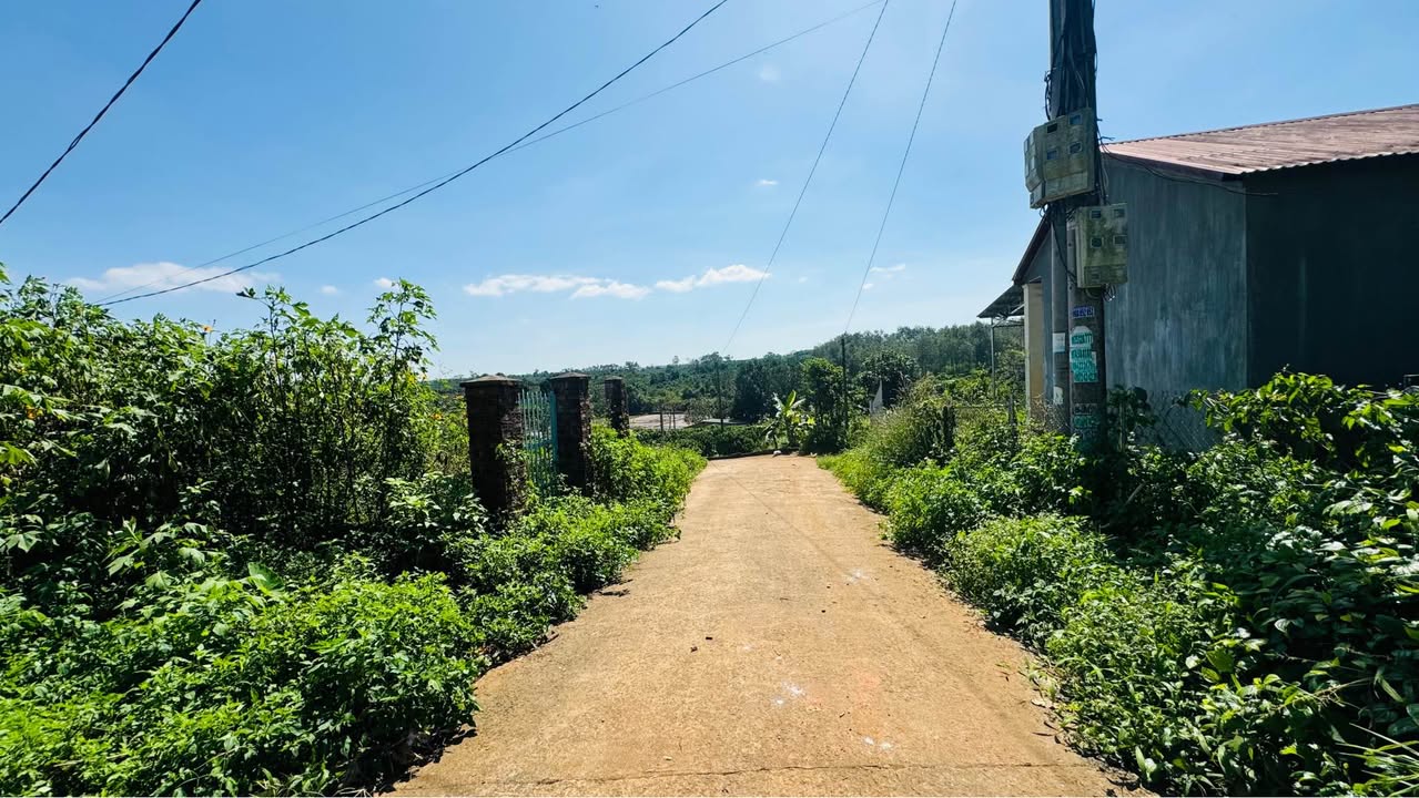 Đất nền Hẻm 240 Nguyễn Chí Thanh, P.Hội Phú, 250m² giá 1.55 tỷ - Đầu tư sinh lời ngay!