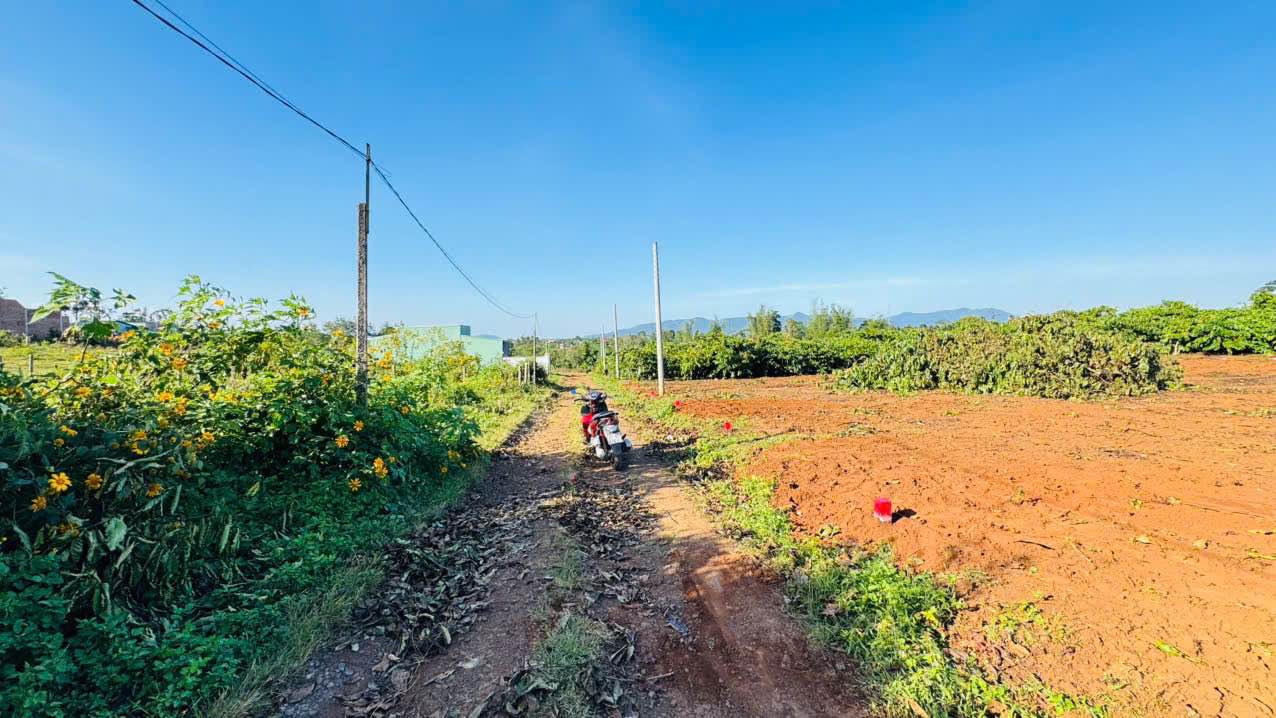 Đất nền Hẻm 104 Trần Văn Ơn, Pleiku 120m² giá 400 triệu - Cơ hội đầu tư hấp dẫn!