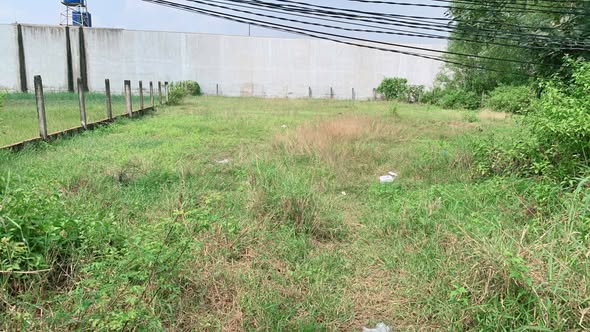 Đất nền mặt tiền đường Bàu Sen, Đức Hòa, Long An 1034m² giá chỉ 1.75 tỷ - Pháp lý sổ đỏ rõ ràng!