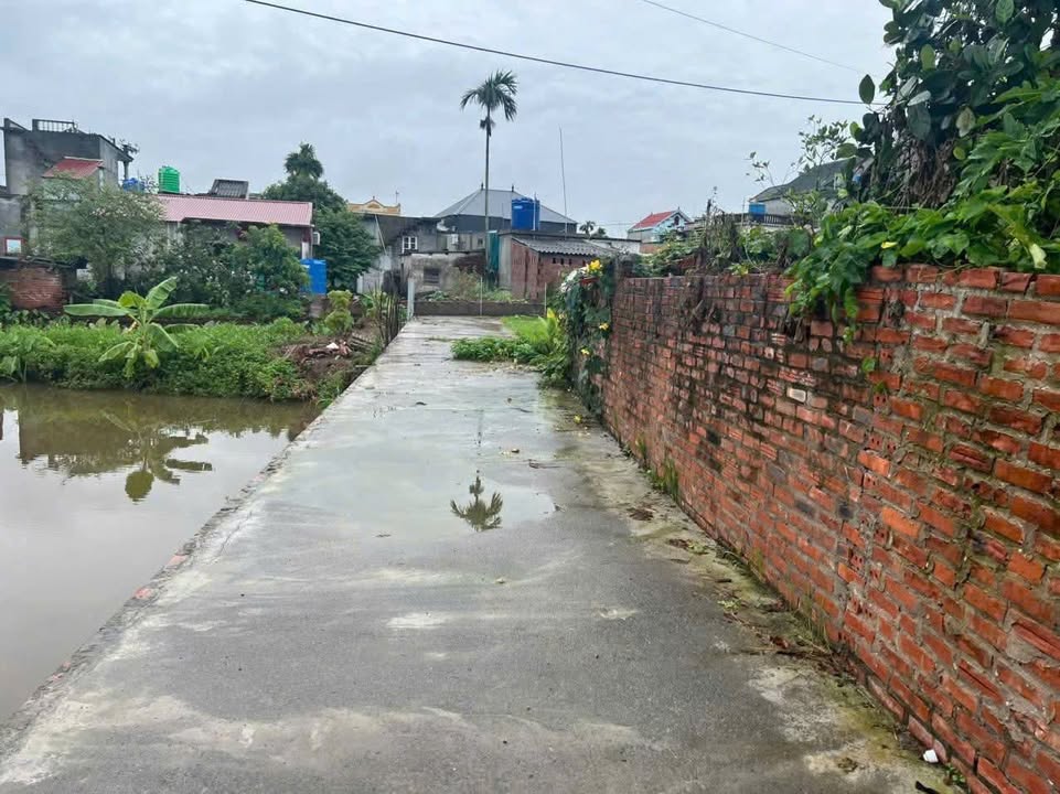 Bán đất Nam Thái Ninh, Thái Thụy 320m² giá 800 triệu - Đường ô tô vào tận nơi!