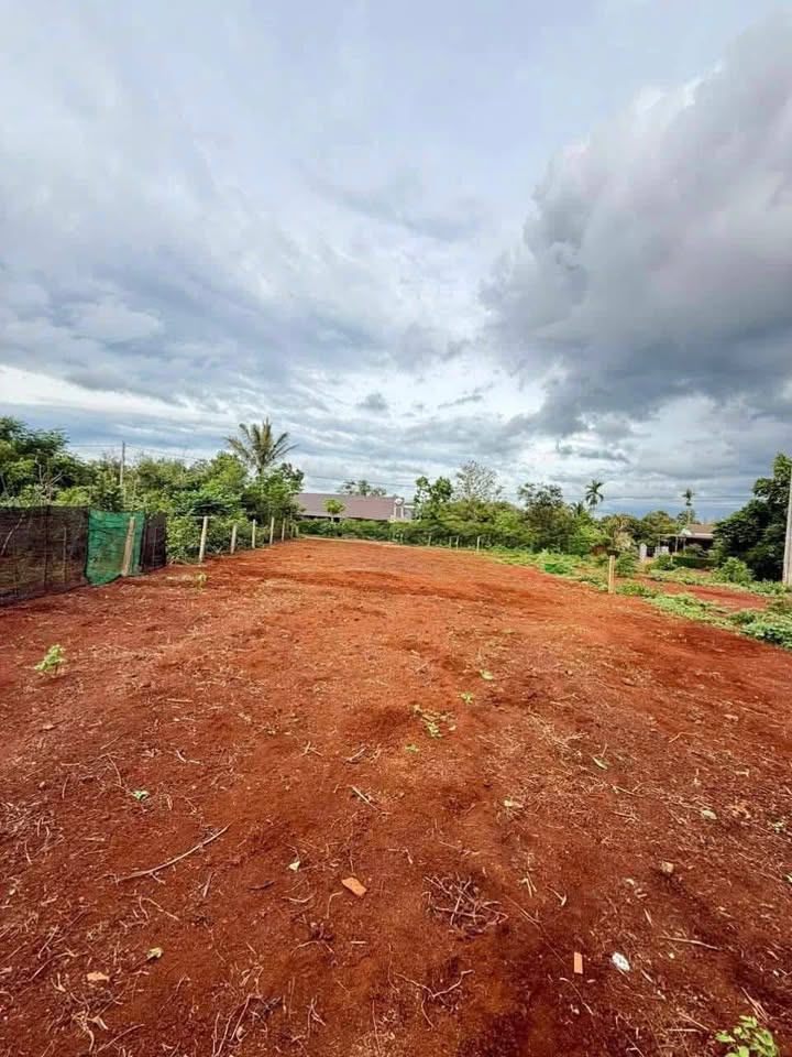 Đất nền mặt tiền Đinh Núp, An Lạc, Buôn Hồ - 50m² giá 1.1 tỷ - Đầu tư sinh lời!