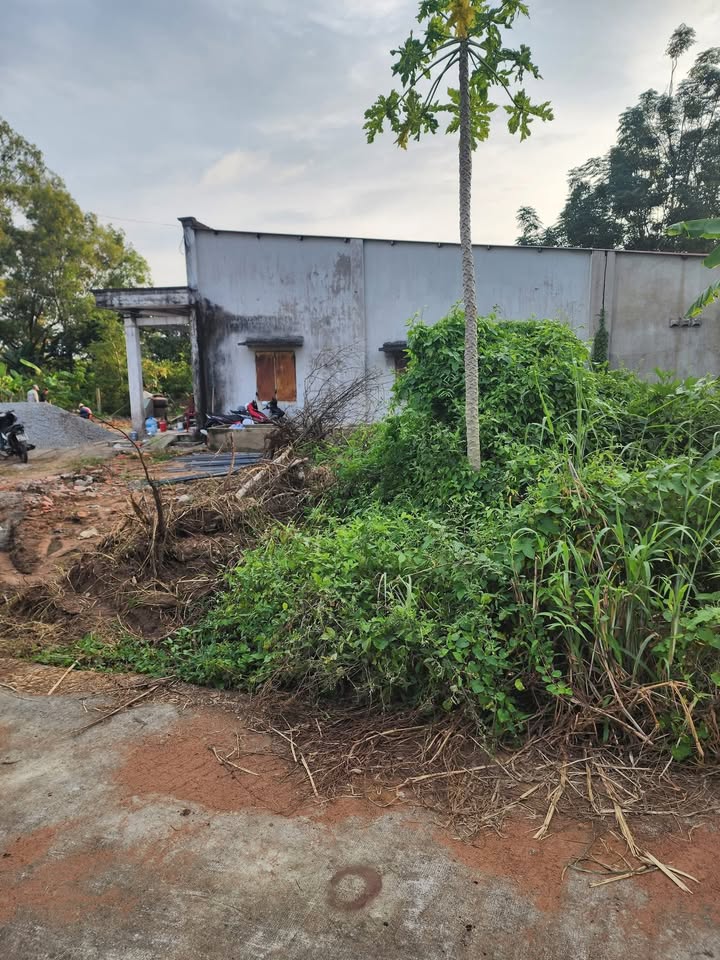 Đất 400m² tại ấp Tân Trung, Xuyên Mộc, 1.5 tỷ - Sổ đỏ chính chủ, vị trí đắc địa!