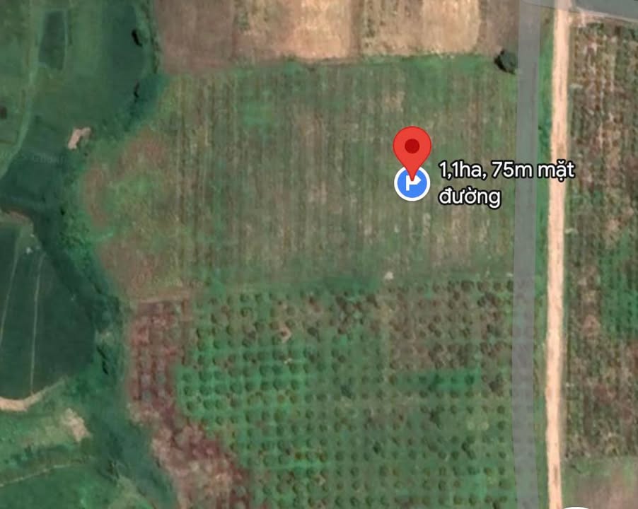 Farm thôn 10, xã Ea Sar 1,1ha - Đầu tư sinh lời với cây ăn trái