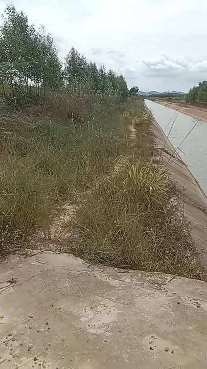 Đất nền 1ha tại xã Ea Păl, huyện Ea Kar - Giá chỉ 800 triệu, thuận tiện giao thông!