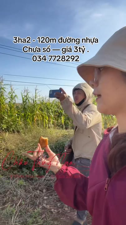 Đất Farm 3,2ha tại Ea Khal, Đắk Lắk chỉ 3 tỷ - Tiềm năng đầu tư lớn!