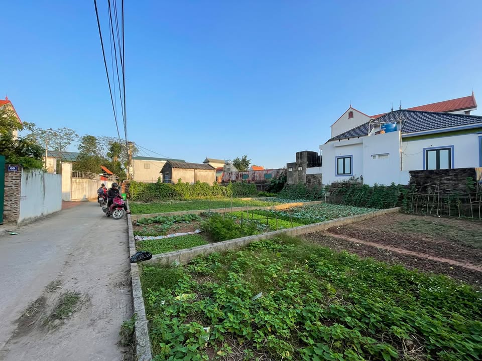 Đất nền tại xã Tự Nhiên, Thường Tín 95m² giá chỉ 30 triệu - Ô tô đỗ cửa!