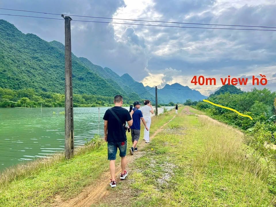 Đất bám hồ Tân Thành 1329m² giá chỉ 1,98 tỷ - Cơ hội hiếm có tại Yên Trị!