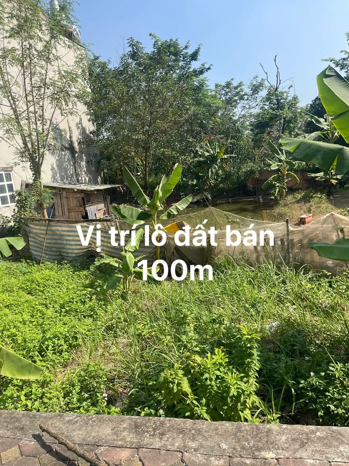 Đất đấu giá mặt đường Phúc Sơn 100m² giá 4 tỷ - Cơ hội đầu tư sinh lời cao!