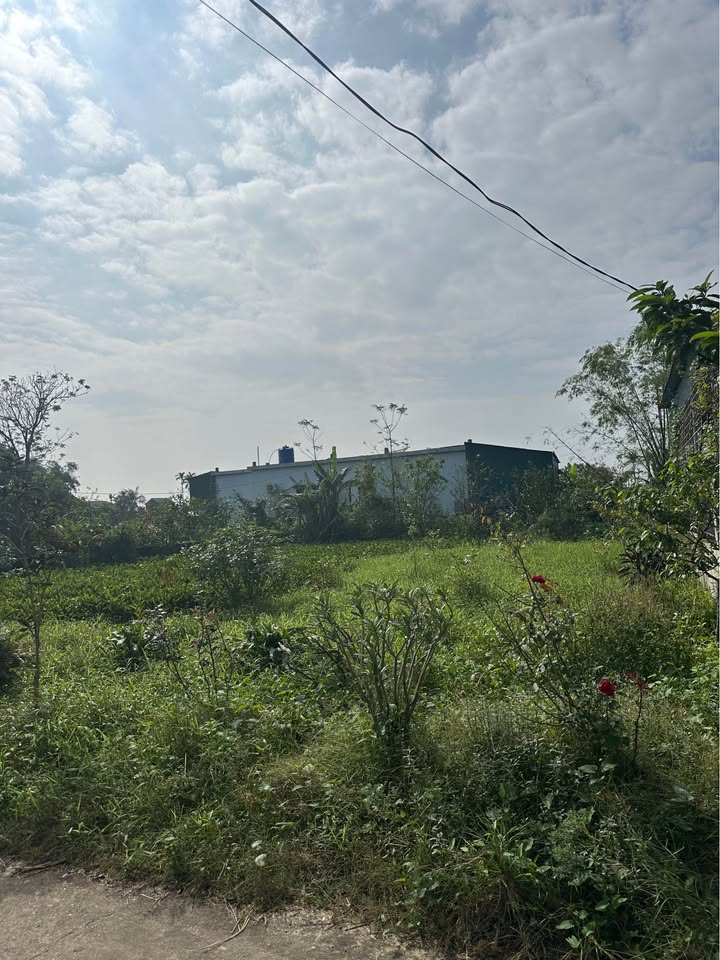 Đất Sâm Lộc, Tượng Sơn, Hà Tĩnh 148.5m² giá 1.3 tỷ - Cơ hội đầu tư tuyệt vời!