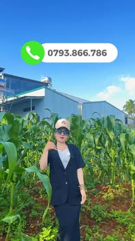 Đất nền Buôn Ma Thuột 52m² giá 2.399 tỷ - Mặt tiền hẻm cấp 1 Võ Nguyên Giáp!