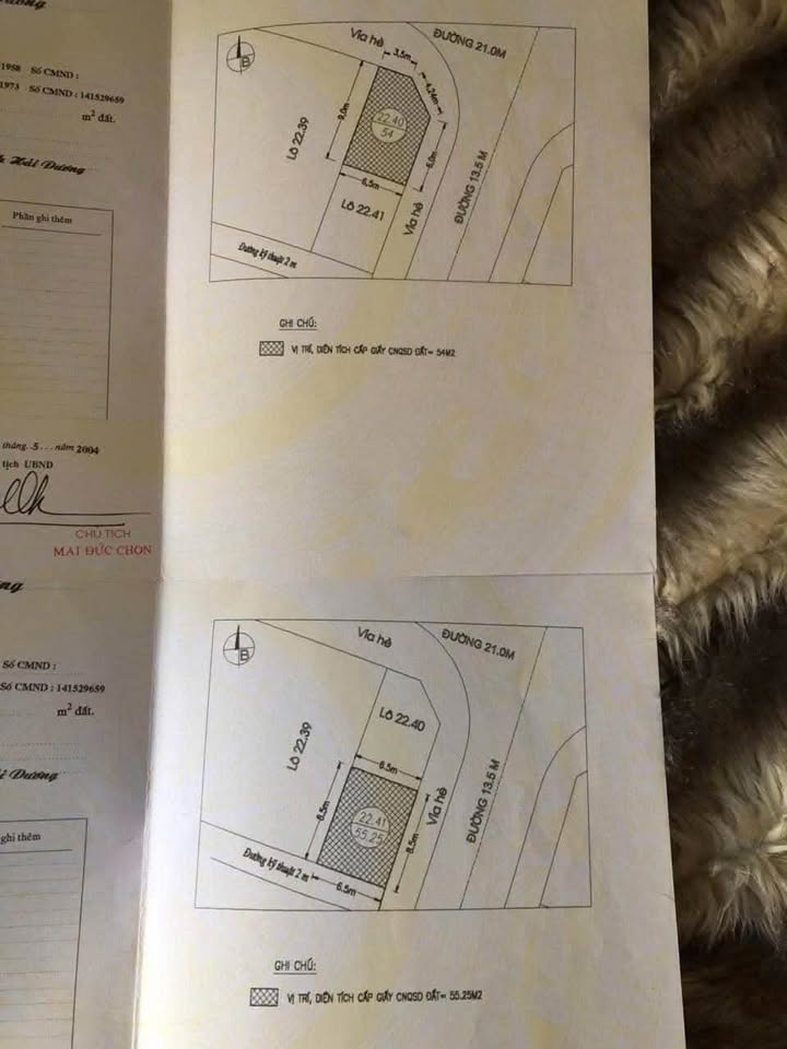 Đất mặt phố Phạm Ngọc Khánh, Hải Dương 110m² - Lô góc tiềm năng, hướng Đông-Bắc!