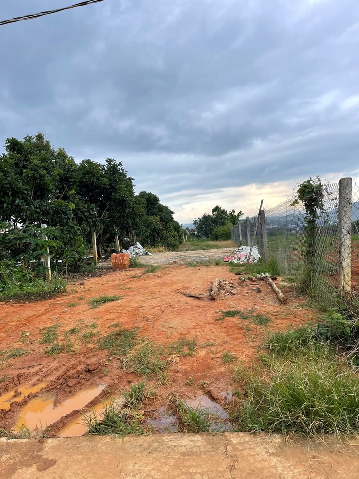 Đất thổ cư Ninh Gia, Đức Trọng 420m² giá 1.8 tỷ - Thương lượng ngay!