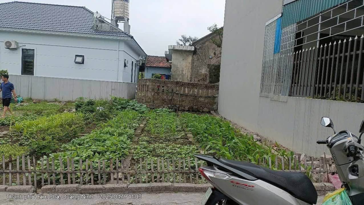 Đất nền Cẩm Thịnh 70m² giá 575 triệu - Cơ hội đầu tư hấp dẫn!