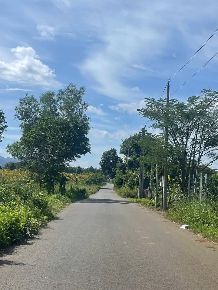 Đất cây lâu năm 500m² xã Long Phước, Bà Rịa - Vũng Tàu chỉ 1.2 tỷ - Chính chủ bán gấp!