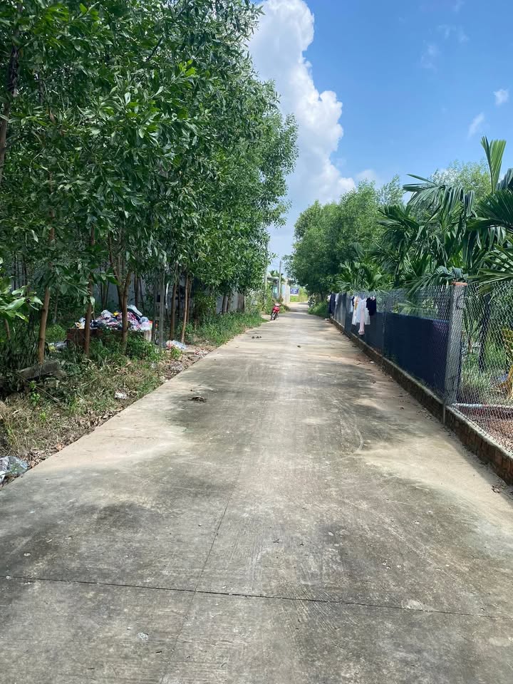 Đất nền Tịnh Phong, Sơn Tịnh, Quảng Ngãi 150m² chỉ 700 triệu - Cơ hội đầu tư sinh lời!