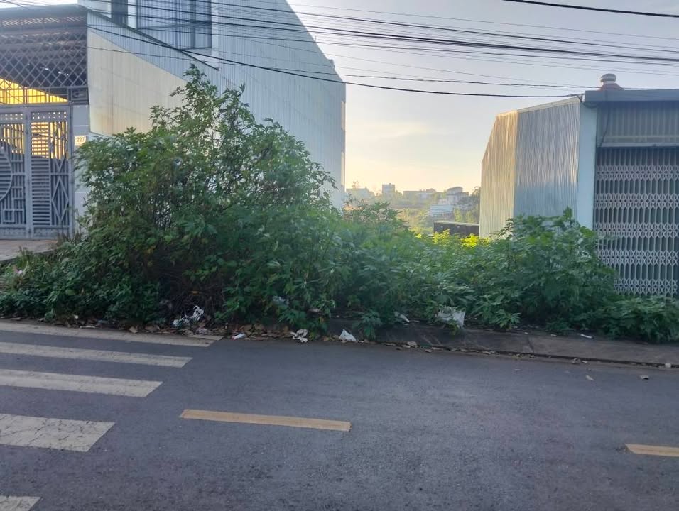 Đất nền mặt tiền Nguyễn Thiếp Pleiku 105m² giá 1.68 tỷ - Sở hữu ngay vị trí đắc địa!