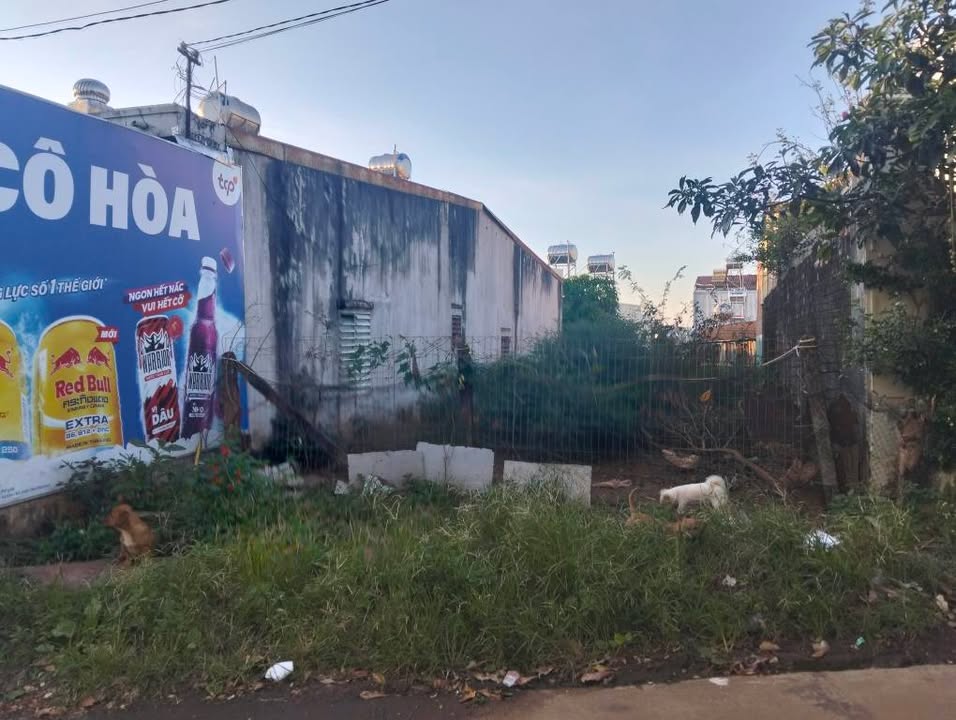 Đất nền Nguyễn Thiếp, P. Diên Hồng 213m² giá 1 tỷ - Vị trí tuyệt đẹp, hẻm ô tô