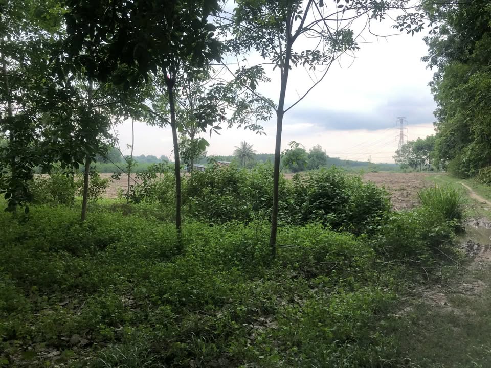 Đất nền Xuân Thành 1.062m² giá chỉ 370 triệu - Cơ hội đầu tư lý tưởng!