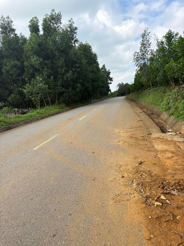 Đất nền Bình Hòa, Bình Sơn 18.000m² giá 400 triệu - Pháp lý rõ ràng, ô tô tới nơi!