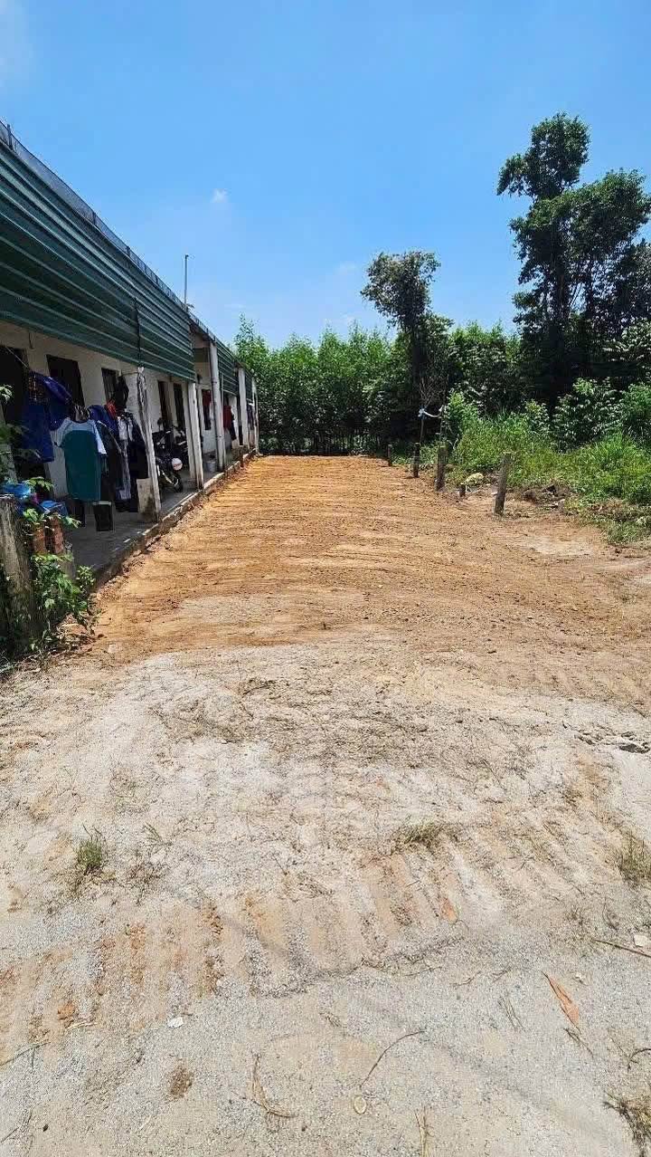 Đất nền phường Nghĩa Lộ, Quảng Ngãi 115m² giá 600 triệu - Hẻm ô tô vào tận nơi!